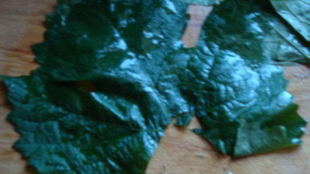 Рецепт долмы в виноградных листьях