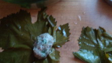 Рецепт долмы в виноградных листьях