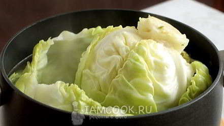 Рецепт голубцов из молодой капусты с перловкой