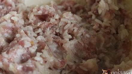 Рецепт голубцов из молодой капусты