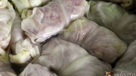 Рецепт голубцов из молодой капусты