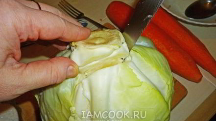 Рецепт квашеных голубцов с морковью