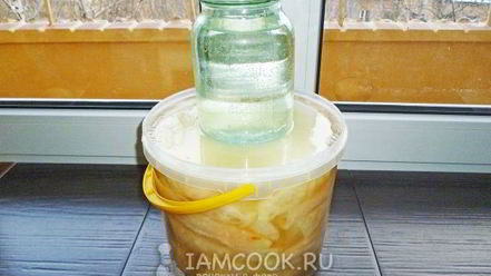 Рецепт квашеных голубцов с морковью