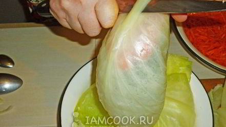 Рецепт квашеных голубцов с морковью