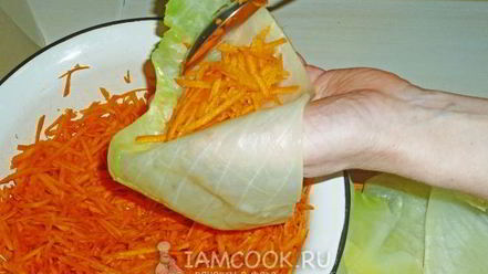 Рецепт квашеных голубцов с морковью