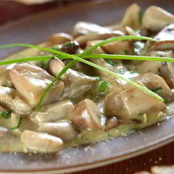 Рецепт Белых грибов тушенных в сливочном соусе