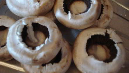 Рецепт фаршированных шампиньонов