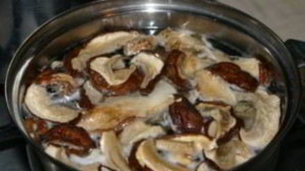 Рецепт грибной юшки закарпатской