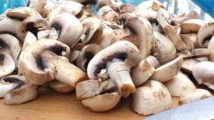 Рецепт грибов со сливками