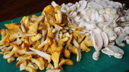 Рецепт грибов в сливочной заливке