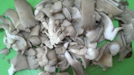 Рецепт грибов вешенки с овощами по-корейским мотивам