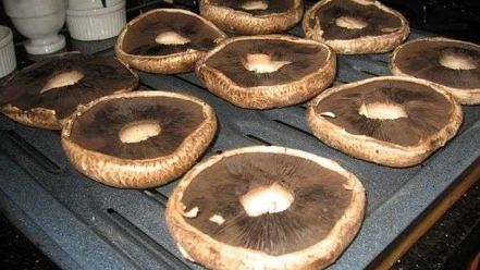 Рецепт грибов запеченных с сыром