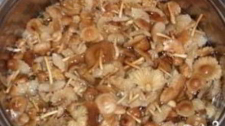 Рецепт опят с картошкой в духовке