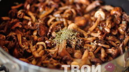 Рецепт опят жареных