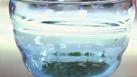 Рецепт шампиньонов с яйцом и зеленью