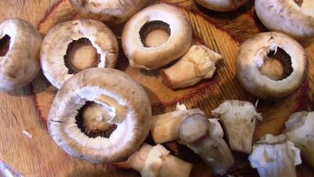 Рецепт шампиньонов с эстрагоном