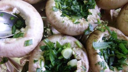 Рецепт шампиньонов с эстрагоном