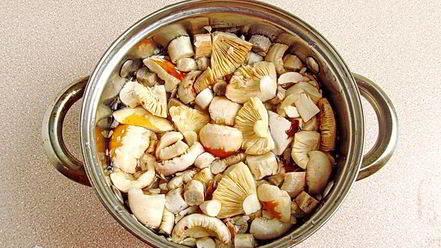 Рецепт сыроежек тушенных с овощами в сметанном соусе