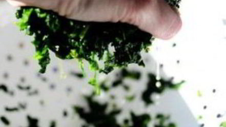 Рецепт запеченных грибов, фаршированных сыром и шпинатом