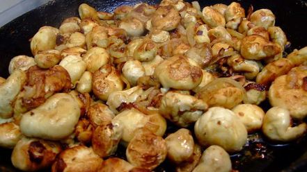 Рецепт жареных грибов дождевики