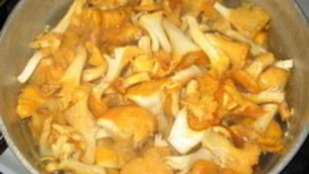 Рецепт гуляша из лисичек