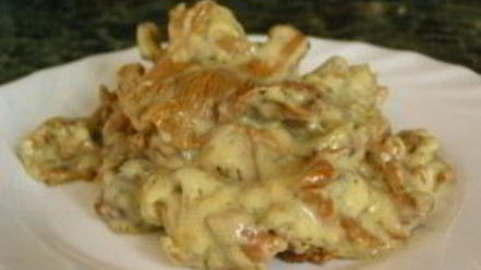 Рецепт гуляша из лисичек