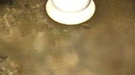 Рецепт гуляша из свинины со сливками