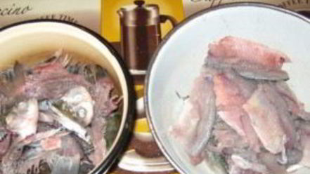 Рецепт котлет из красноперки