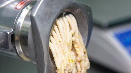 Рецепт котлет из щуки