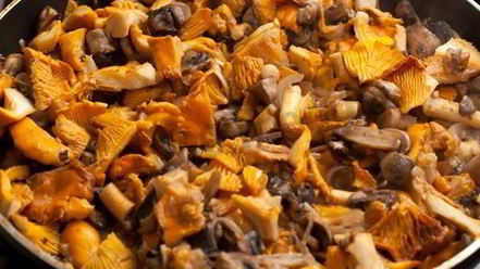 Рецепт лазаний с сыром и грибами