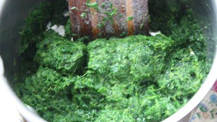 Рецепт лазаний с тыквой и шпинатом под соусом из рикотты