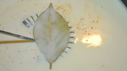 Рецепт лазаний со шпинатом и рикоттой