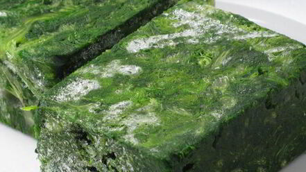 Рецепт лазаний в рулетиках