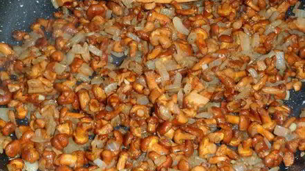 Рецепт каннелоней с лисичками в сливочном соусе