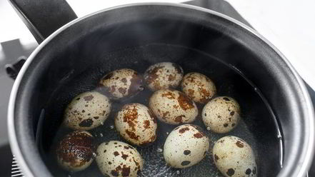 Рецепт макарон по-флотски с тунцом