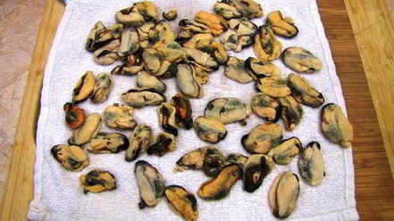 Рецепт пасты с томатным соусом и мидиями