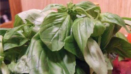 Рецепт спагетти с курицей и запеченными перцами