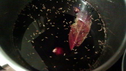 Рецепт модной говядины по-французски в пряном вине