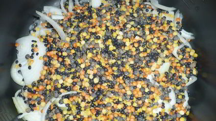 Рецепт свинины на старый новый год с овощами гриль и чечевицей