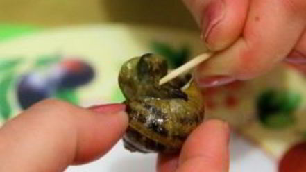 Рецепт улиток, жареных с розмарином