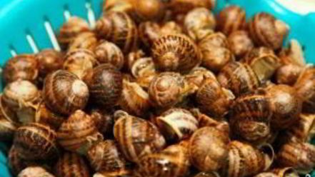 Рецепт улиток, жареных с розмарином