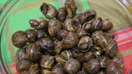 Рецепт улиток, жареных с розмарином