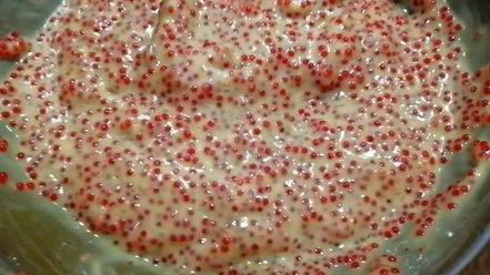 Рецепт гедзы с паштетом из тунца и куриной печенью