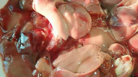 Рецепт куриной печени с хурмой