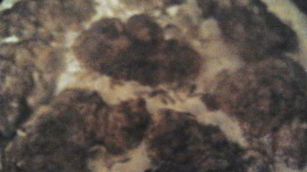 Рецепт отбивных из печени со сливочно-грибным соусом