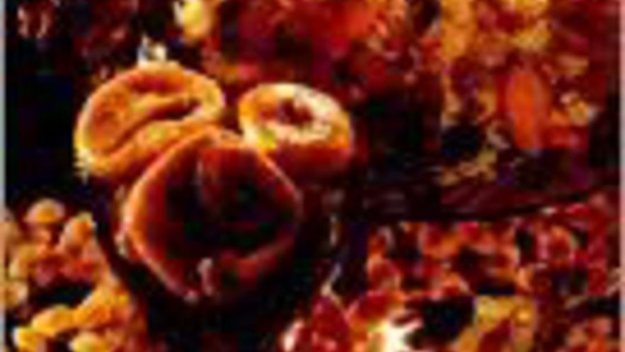 Рецепт плова фруктового