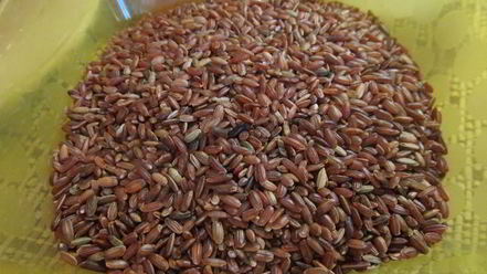 Рецепт плова из красного риса