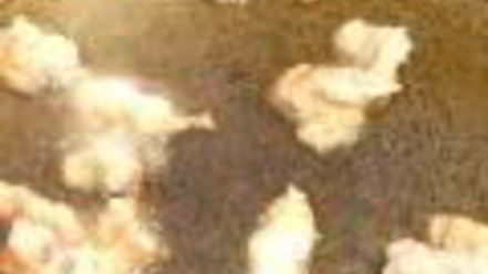 Рецепт плова с фаршированным болгарским перцем