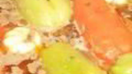 Рецепт плова с фаршированным болгарским перцем