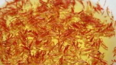 Рецепт плова с нутом и курицей